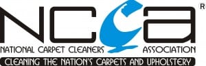 Professional Stain & Spot Removal Services In Coalville 1