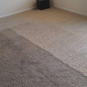 Professional Dry Carpet Cleaning Services In Coalville 1